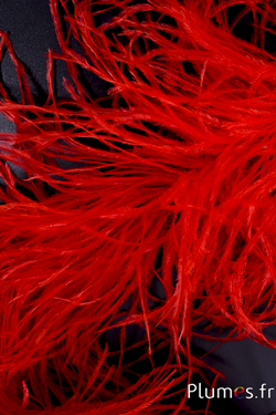 Autruche mèche sans coeur - 10 cm - rouge